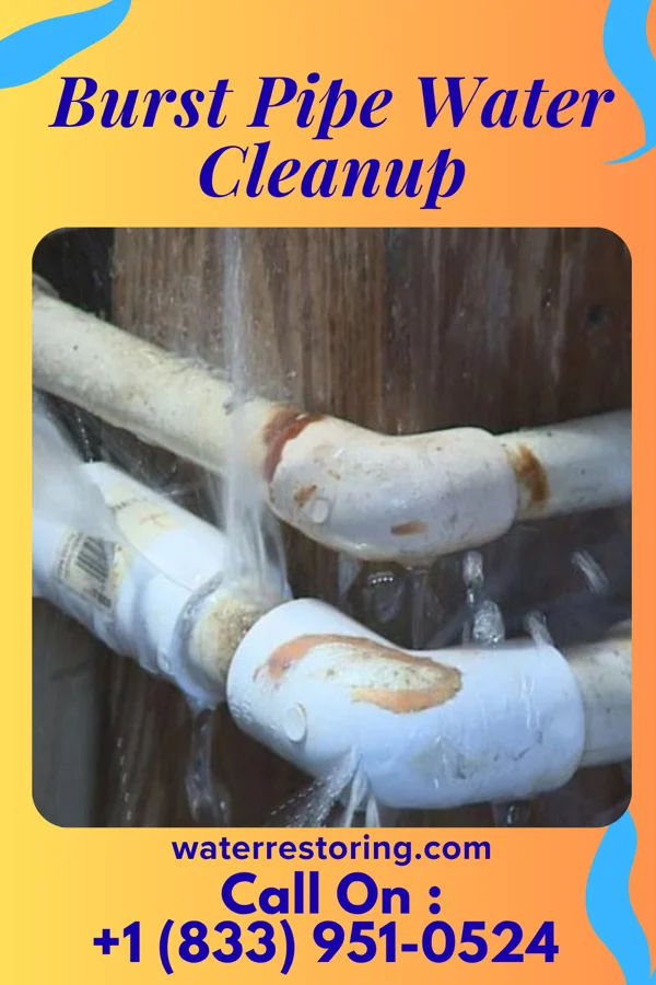 Burst Pipe Water Cleanup in Lakewood Park, TN
