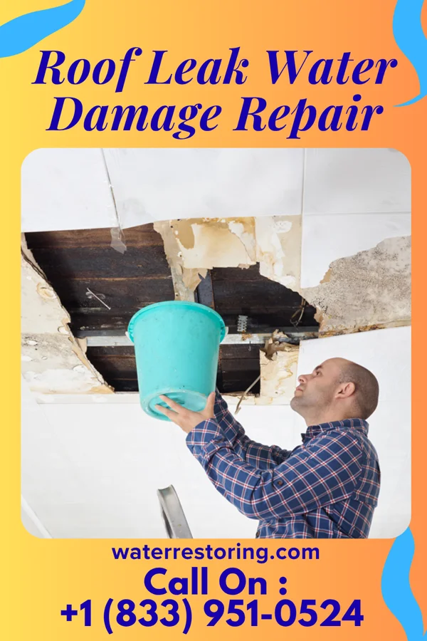Roof Leak Water Damage Repair in Lakewood Park, TN