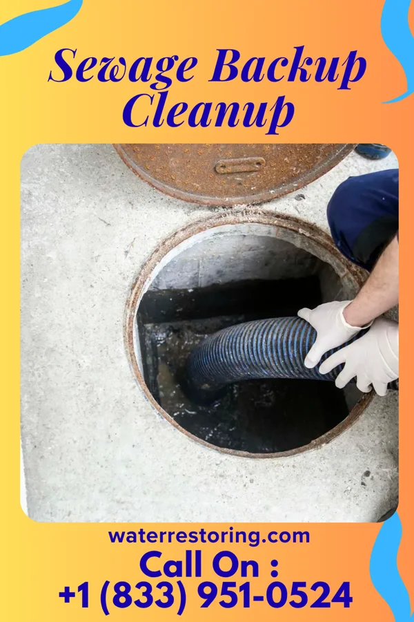 Sewage Backup Cleanup in Lakewood Park, TN