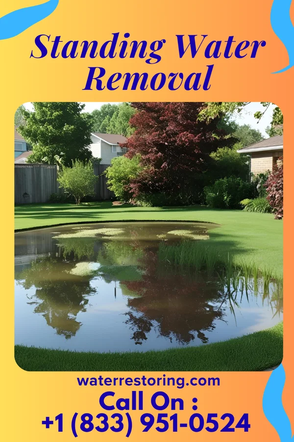 Standing Water Removal in Lakewood Park, TN